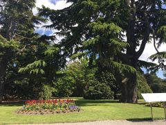 博物館隣のハグリー公園