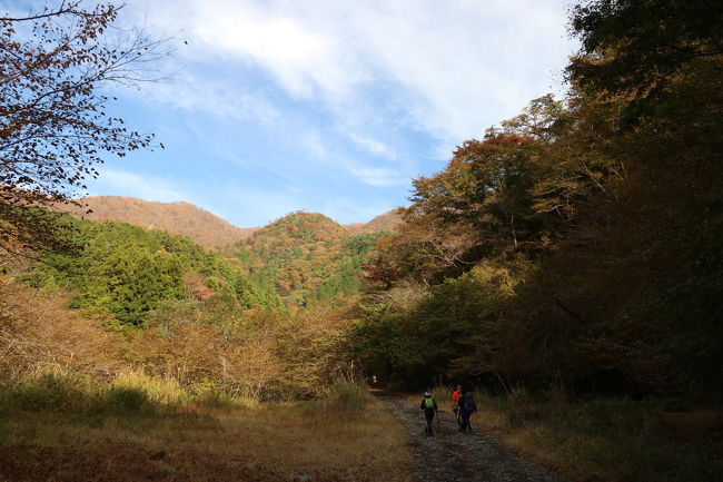 秋だ 紅葉だ 鍋割山登山だー の巻 丹沢 大山 神奈川県 の旅行記 ブログ By カジュトシュさん フォートラベル