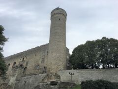 トームペア城ののっぽのヘルマンさん。
内部見学不可です。
