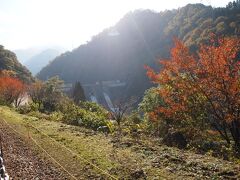 トロッコ電車(列車)の車窓から、紅葉を見ます。
