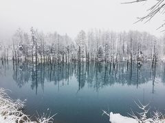 雪化粧した青い池です。

思っていたより青くない。。。
空が曇っていたからかな？
みんな実は画像修正してるのか？！と疑ってしまったけど、
後日夏に青い池に行った友人に写真をみせてもらったら
これより全然本当に青青した池でした！

なので天気、気温、時間帯で結構違うみたいです。