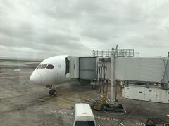 出発時は暗かったので飛行機の写真を撮らず、到着時に撮影しました。

入国審査に並んでいたらアジア系の入国審査官がいるなぁと思っていたら、日本語で話しかけられてびっくりしました。周りの人よりも色々と聞かれましたが。。。滞在が3日間なので宿を予約しているかとかロトルアまでの移動手段は何かとか色々聞かれました。

その後オーストラリアと同様荷物の検査です。お菓子を持っていたのでそのように申告したら検査官に「オカシ！」と言われて笑われました。どちらでも「フルーツを持っていないよね？」と聞かれましたが。。。持っていないです！
