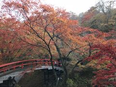 キレイな紅葉と橋