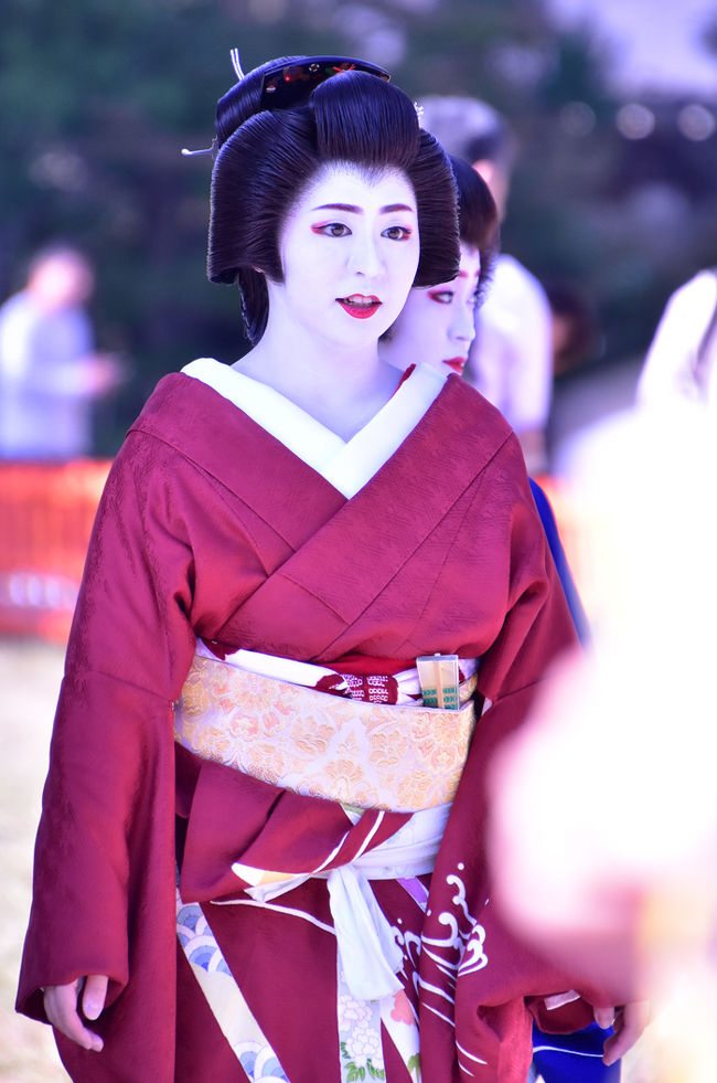 京都舞妓帯地No.94