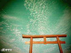 多良駅から大魚神社までは歩いても10分程。
国道沿いを北へ進むだけなのでけっこうわかりやすい。

事前に今日の干潮・満潮をチェック。
満潮08:18/20:31、干潮02:05/14:24、日の入り17:34
海に浮かんでるのを見るのはちょっと厳しいかな～？？