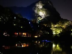 いつもの夜の公園が、映像と光と音楽で魂が宿ったような森に大変身！！
・・・って感じのイベント。

（さっぱりわからん）