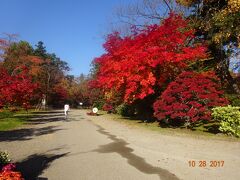 弘前公園の紅葉。