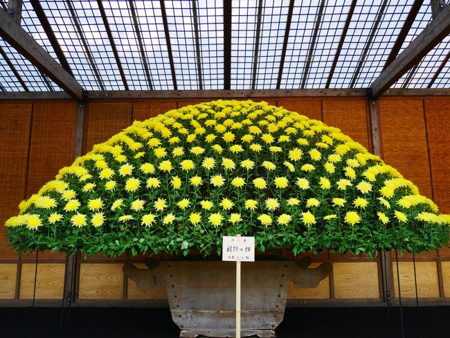 ★「新宿御苑に於ける和菊の伝統的栽培法写真図説」　東京農業大学図書館　（二冊） ☆「新宿御苑に於ける和菊の伝統的栽培法写真図説」 東京農業
