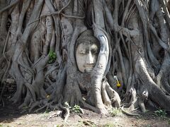 神秘的と言うか
悲しいと言うか
なんとも言えない仏像の頭。
一度は訪れたい場所だったから、ここに来れて良かった！