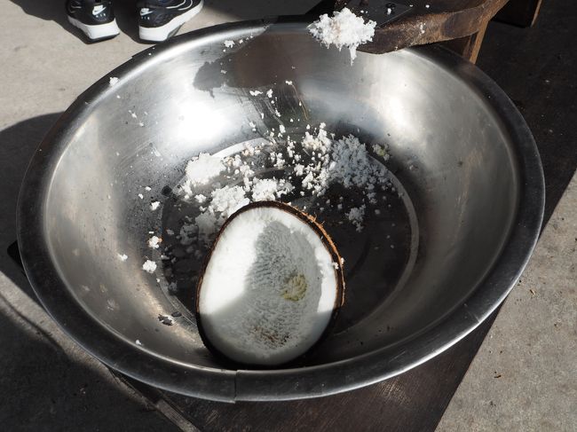 自分を合わせて計5名でのツアー。<br />まずはココナッツファーム見学。