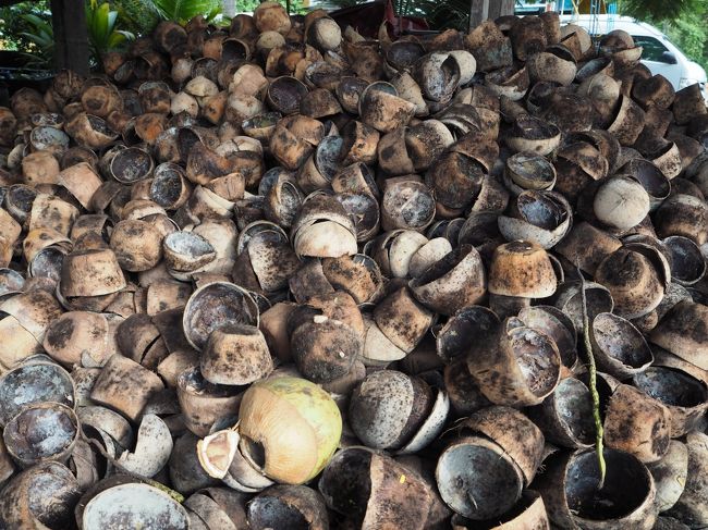ココナッツの残骸。