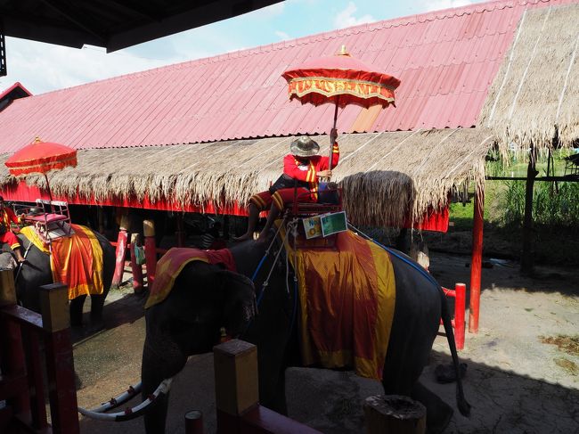 特に興味はなかったのだけど<br />せっかくだしってことで。