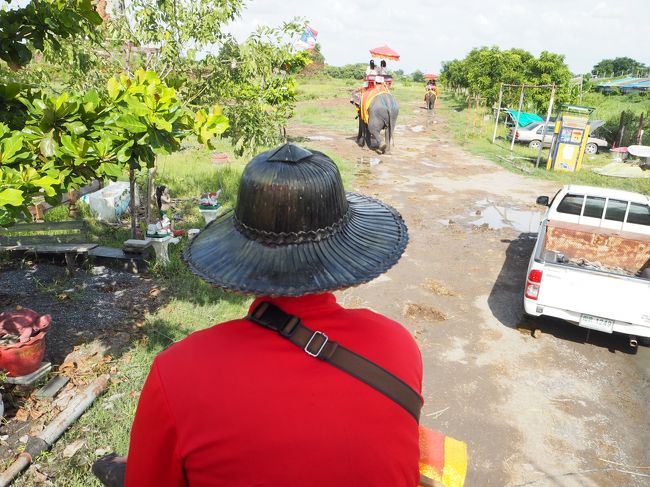これが乗って見ると<br />意外と楽しくて、経験して見て良かった！