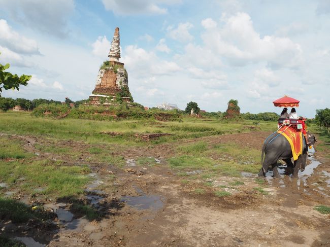 こんな絶景にも出会えました。<br /><br />この後、虎との記念撮影もしました。