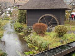 本日は残念ながら雨空。まずは忍野八海散策です。一番大きい銚子池と底抜池を目指します。小雨が降っており富士山はガスっていて全く見えず。