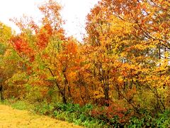 裏磐梯きっての紅葉スポット、中津川渓谷。
レストハウスの駐車場ですらこれだ。