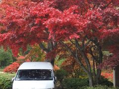 送迎車のナンバーは、富士屋ホテル（宮ノ下）創業年の1878。