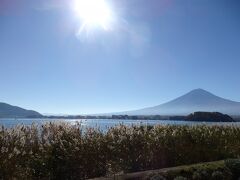 ２日目はホテルを８時に出発。
昨日の山中湖に続き、河口湖に参りました。
今日も富士山、絶好調！
湖岸のススキがいい味だしてます。
うっとりするような風景に出会えました。