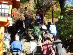 浅間神社の麓まで来ました。
どうやら、この階段を昇るようです( ﾟДﾟ)