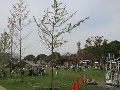天王寺公園内のテンシバと呼ばれる芝生のある場所では人々が寛いでいる。向こうに通天閣が見える。通天閣までは１ｋｍ少しだ。