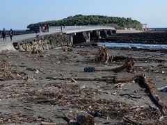 青島を少しすぎた所の海側に、無料駐車場あり
周辺の有料駐車場はだいたい500円なので、空いてたのでラッキーでした
砂浜にはたくさんの流木が打ち上げられています
台風22号の影響か