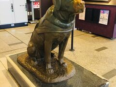 【介助犬「シンシア」の銅像】

2015年3月14日に2階のJR宝塚駅改札口のKiosk（セブンイレブン）横に設置されました。
介助犬として様々なイベントに登場し、関連書籍もたくさん出版され、介助犬としてのアイコンとして生き、働き、2006年3月14日に永眠。12歳の人生（ワン生？）でした。
「シンシア」と言う名前は飼い主さんが昭和のアイドル「南沙織（愛称・シンシア）」のファンだったのでつけたそうです。