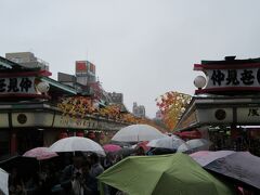 いやぁ、凄い雨。。