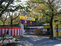 お目当ては小江戸川越菊祭り。入場料無料が嬉しい。
