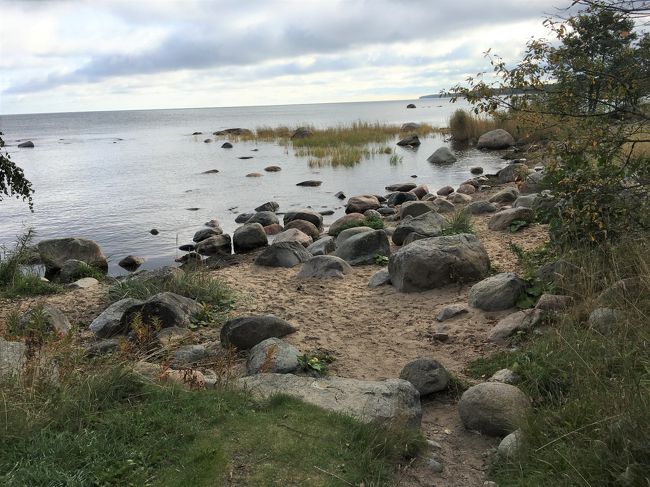 アルティヤ（Altja）の岬の先端にある漁網小屋の斜め前の海の真ん中に迷子岩（Randkivi）がありました。この岩は「子授け岩」と言われているそうです。氷河の置き土産と言われる迷子岩は、森にも散在するらしく、氷河によって削り取られた岩塊が、長い年月のうちに氷河の流れに乗って別の場所に運ばれ、氷河が溶け去った後に取り残されたものです。１万年以上前の岩もあるそうです。アルティヤ（Altja）の海岸には、氷河の置き土産と思われる迷子岩がごろごろしていました。<br />