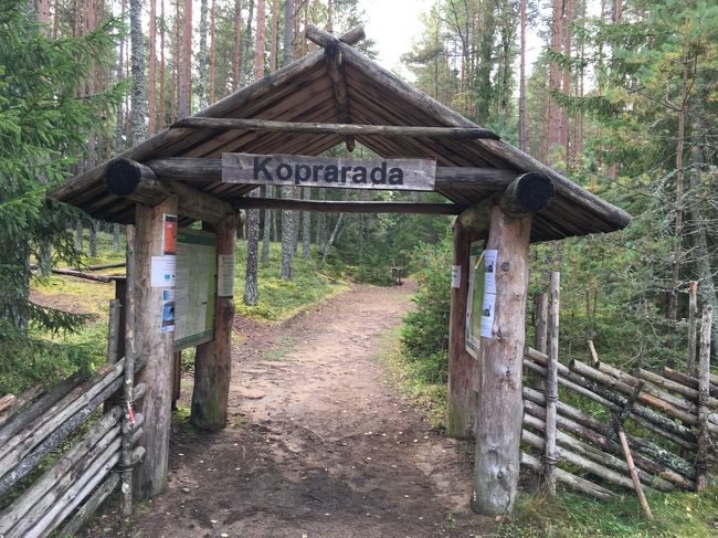 ビーバーが生息する形跡が見られるというビーバートレイルの入口を発見。<br /><br />※「Koprarada」はAltjaの南からOanduまでの“Beaver Trail”のスタート地点です。ビーバーのダムやAltja川を見ながら、約1kmの自然散策を楽しめます。<br />　