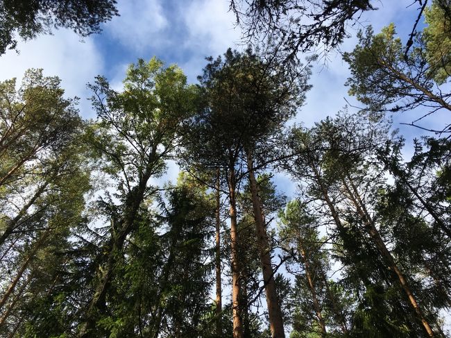 この時はいいお天気でしたが、この日は雨が降ったりやんだり・・。<br />ビーバーの生息する形跡は発見できていませんでしたが、転んで痛めた腕がつらかったので、トレイルは諦めて次に向かいました。