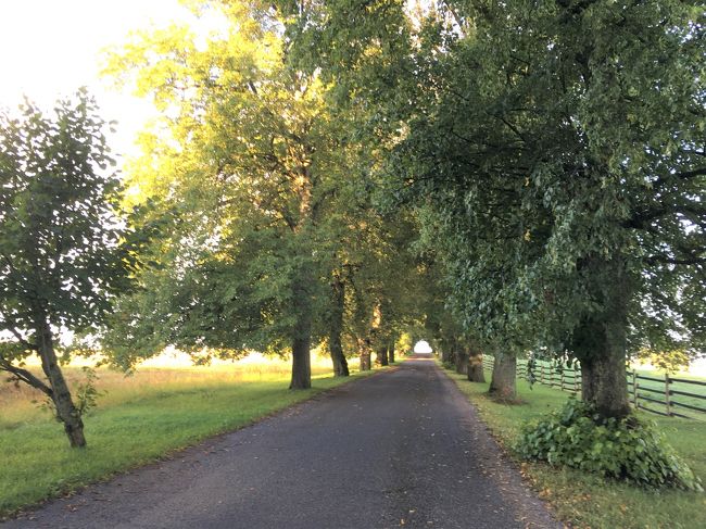 敷地外に続く道