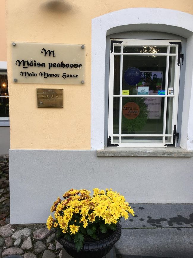 かわいいお花。