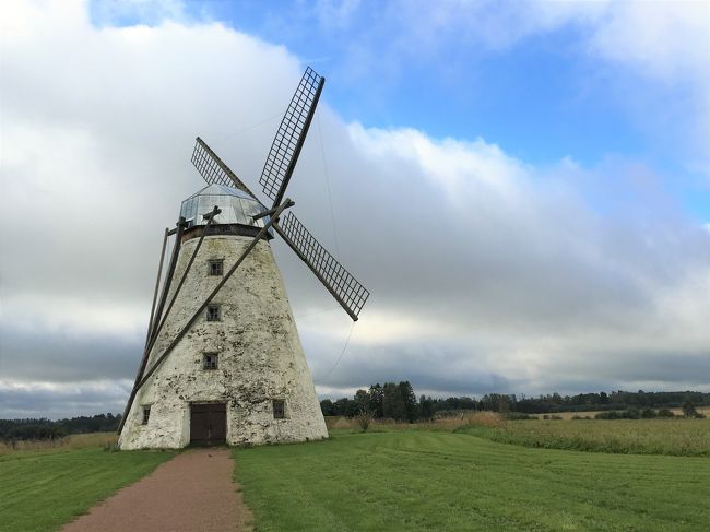 敷地入口には風車が。<br />明るかったらこれが目印になりますねー。