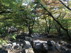 地下鉄とバスを使って梵魚寺へ。紅葉がきれいな時期だったので、とても気持ちがよかったです。ハイキング姿の人もちらほら。歩きやすい靴でいくことをお勧めします。韓国の4大寺院の一つとのこと。秀吉の朝鮮征伐の時に焼き払ったらしいです。ああ、日本人には、耳が痛い話です。観光ボランティアの人がいます。中には日本語がしゃべれる方も居ます。