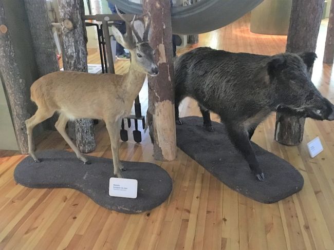 森の動物たち。はくせい。