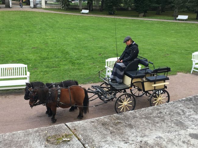 入場料に敷地内の馬車散歩が含まれています。<br />5分くらいでさくっと広い敷地内を見て回れるので便利。<br /><br />混んでるときは待ったりするのかな。