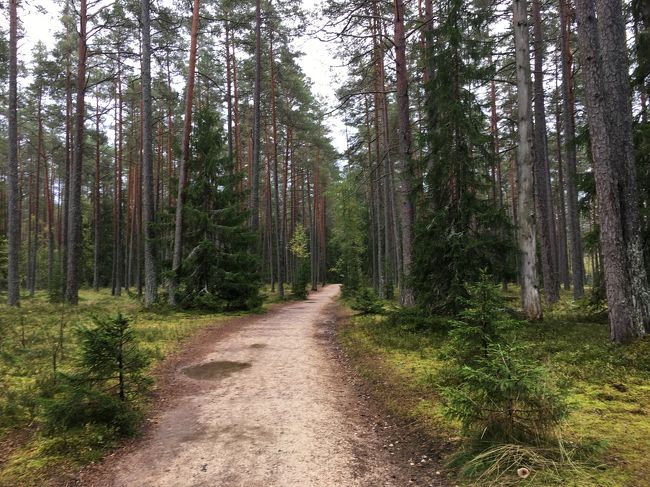 入口からしばらく森の中を進みます。