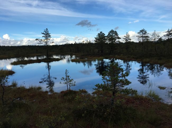 みとれます。。