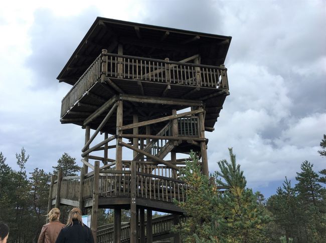 しばらく進むと展望台があります。<br />ほとんどの人はここで折り返して戻りますが、私たちはもう少し進んでみることにしました。