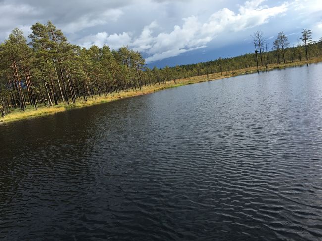 大きな池が。とても美しい景色で心が洗われます。