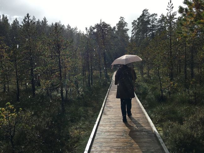 晴れたと思ったら、また雨が。<br />お天気雨です。<br />ほんとに今日はよく雨が降る・・。