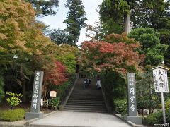円覚寺　総門前の石段とモミジ

北鎌倉駅の改札を出ると直ぐ。
モミジはやっと色付き始めた感じです。
