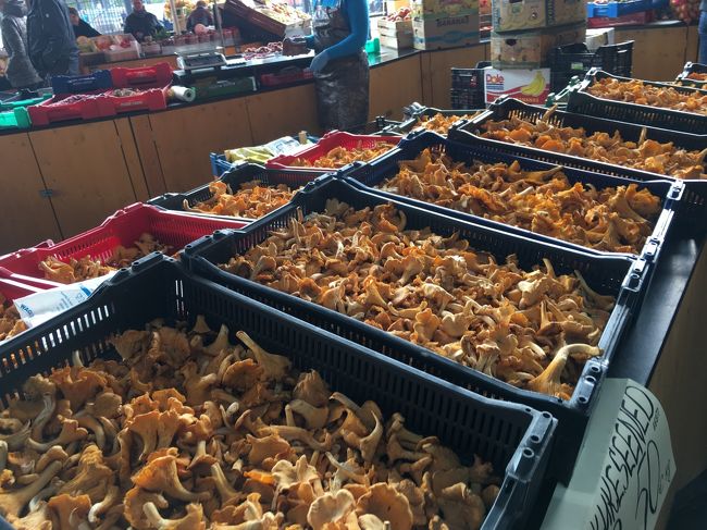 屋外のマーケットスペースもあるけど、こぎれいな感じ。<br /><br />マーケットで売られているのはやはりキノコ。