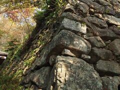 最初の城跡訪問。八幡山城です。豊臣秀吉の甥秀次の城。近江八幡の町の繁栄の基を作りました。標高271mのところに立派な石垣が残っていました。往復ハイキングで大汗をかきました。さらに雨がパラツキ道が滑ること！