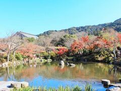 「円山公園」（2015.12.3）

紅葉のイメージのない円山公園だけれど、池周りとか意外と赤い木が多くて、お気楽に散策するには素敵なコース♪

円山公園　　https://kanko.city.kyoto.lg.jp/detail.php?InforKindCode=1&ManageCode=10000011
詳細旅行記
レクサスパスで行く！京都紅葉最終章◆長楽館/コーラルでランチ！円山公園～八坂神社秋の風景、知恩院の幻想的なライトアップ！！はコチラ
　　　↓
https://4travel.jp/travelogue/11196644