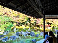 「高台寺圓徳院」（2016.11.22）

北庭と南庭の二つのお庭が存在する圓徳院。
秀吉の妻、北政所ねね様の終焉の地として有名な別院。
縁側に座ってほっこりできる空間がのんびりしてて良いわ～

高台寺圓徳院　　http://www.kodaiji.com/entoku-in/idx.shtml
詳細旅行記
レクサスパスで行く！今が見頃、京都の紅葉◆東福寺・高台寺圓徳院・南禅寺・永観堂のライトアップ♪今年は王道を攻めてみました！はコチラ
　　　↓
https://4travel.jp/travelogue/11192006