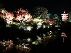 こちらは、東寺の紅葉ライトアップ。
