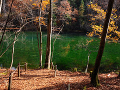 気持ちの良い森の中をしばらく歩いて行くと、綺麗な池が木々の合間に見えてきた。
これが、名水百選に選ばれた龍ヶ窪だな。
ちょうど畔に出られる場所があったので、行ってみることに。