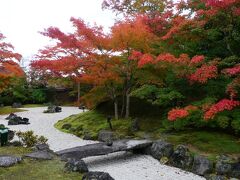 さて帰ろうか
としたところで、紅葉がきれいな一角を発見！
電車の時間はずらして円通院に立ち寄ることにしました。
これが正解で！
緑と赤のくっきりきれいなコントラストを織りなす紅葉だ～